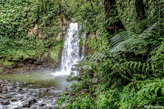 cascade guadeloupe