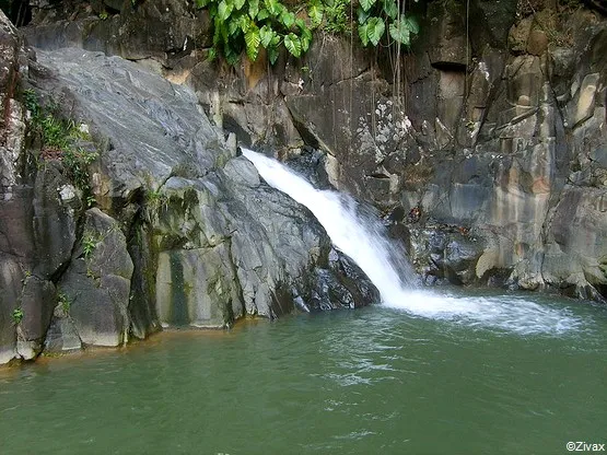 cascade basse terre