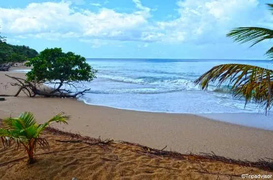 plage de la perle Guadeloupe