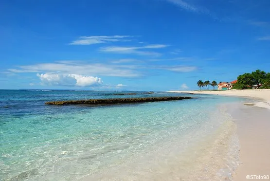 Plage des raisins clairs