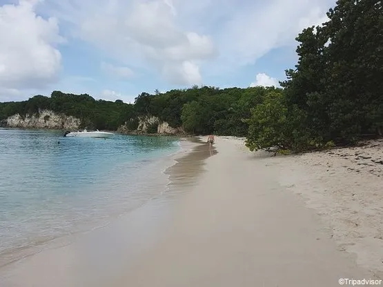 Anse Canot Guadeloupe