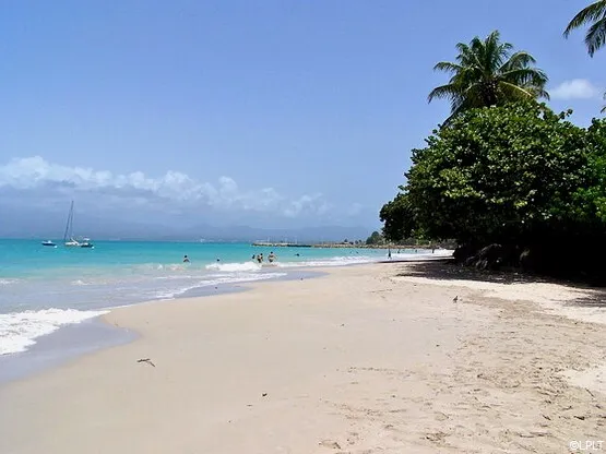 plage de la Datcha en Guadeloupe