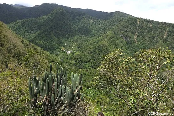 vallee de la grande rivière guadeloupe