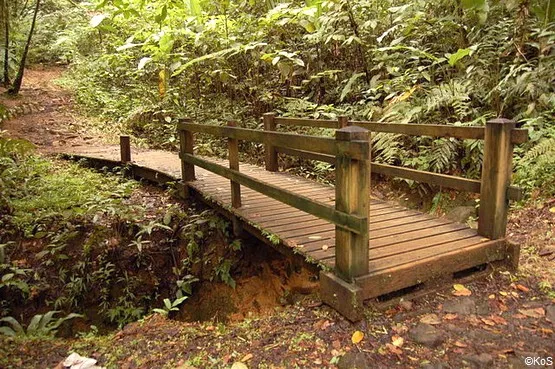 pont chutes de Guadeloupe