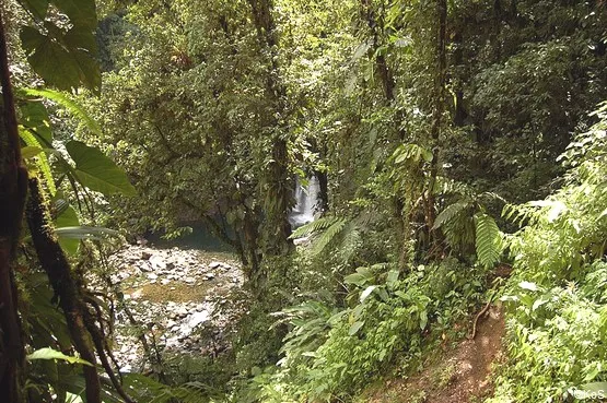 troisième cascade de Guadeloupe