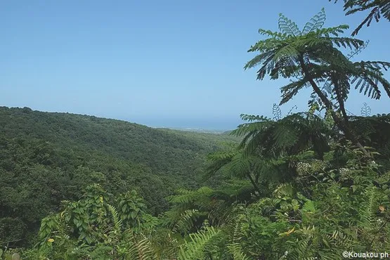 panorama des chutes du Carbet