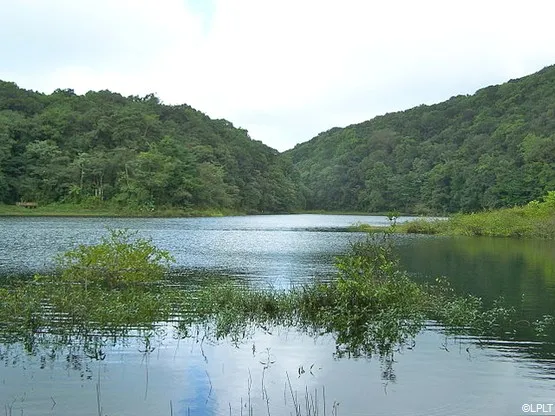 Point d'eau à Grand-Etang