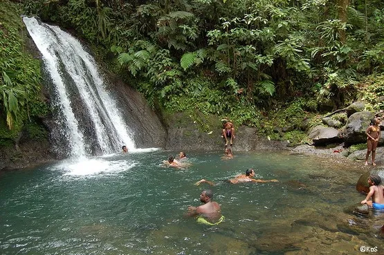 cascade ecrevisses guadeloupe