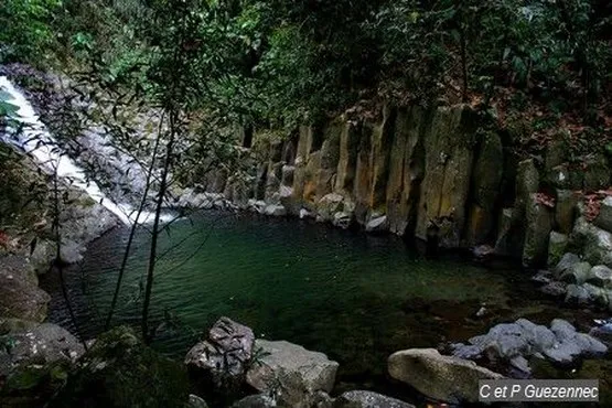 cascade paradis guadeloupe