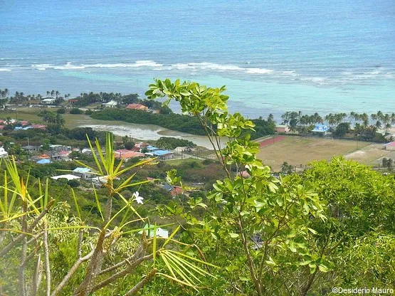 la desirade Guadeloupe