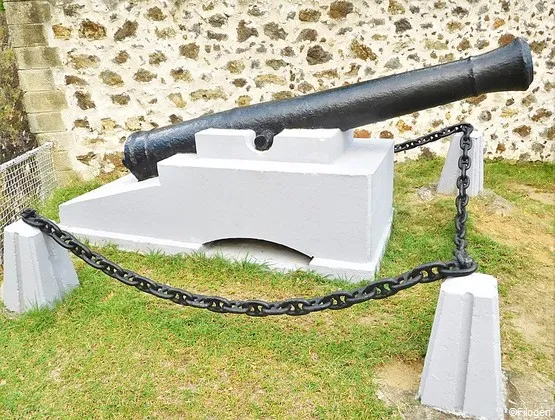 canon fort napoleon
