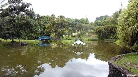 jardin d'eau de Blonzac