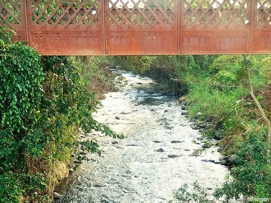 pont eiffel la rose en guadeloupe