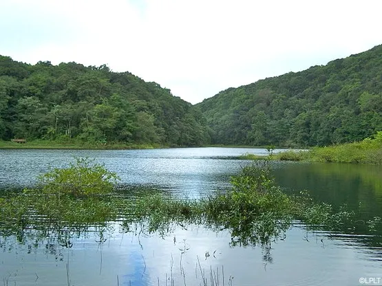 Grand-Etang Guadeloupe