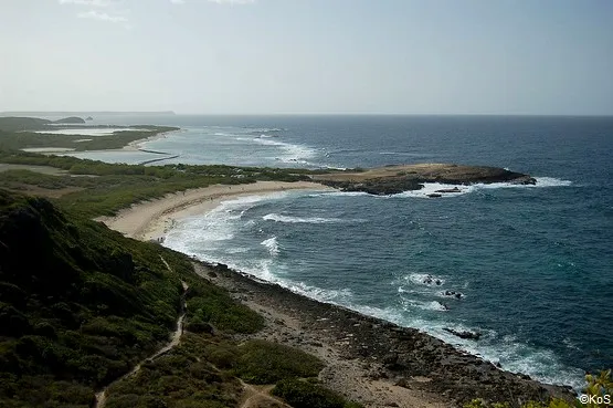 plage des grandes salines
