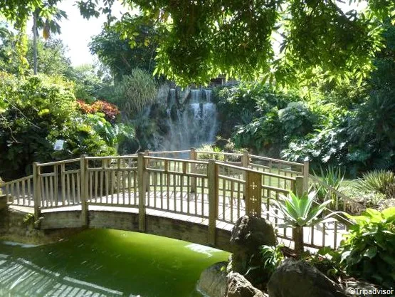 cascade jardin botanique