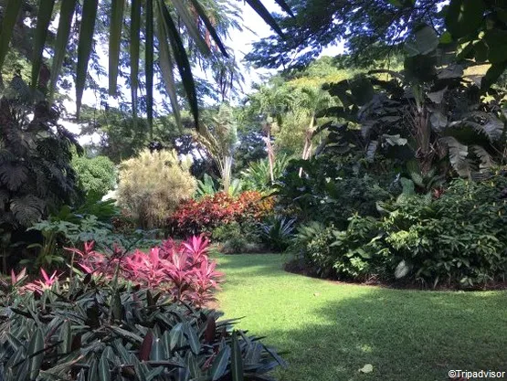 jardin botanique Deshaies