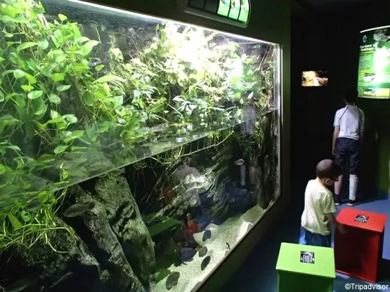 aquarium le gosier