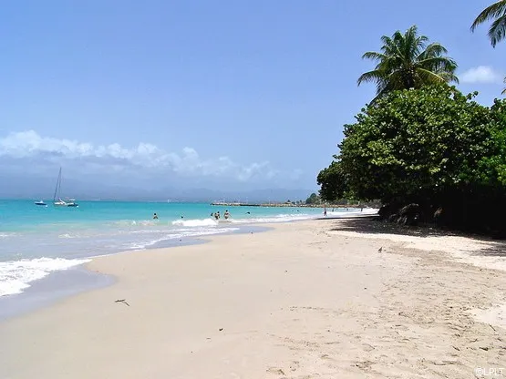 plage datcha guadeloupe