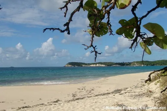 plages marie galante