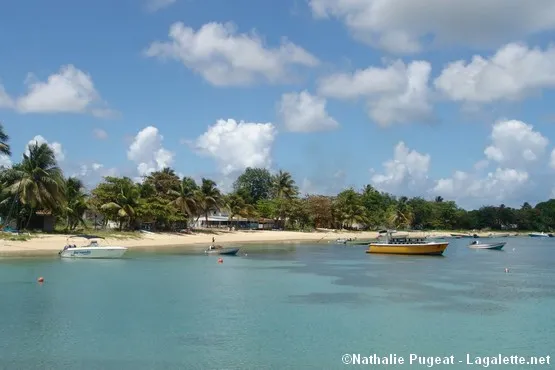 plage saint louis marie galante