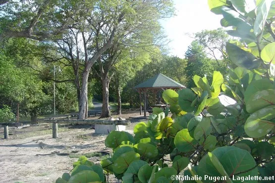 plage vieux fort marie galante