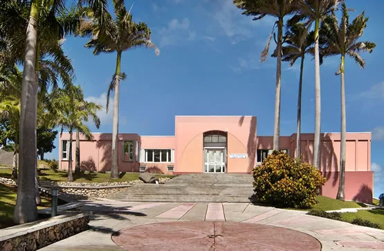 Le musée archéologique Edgar Clerc