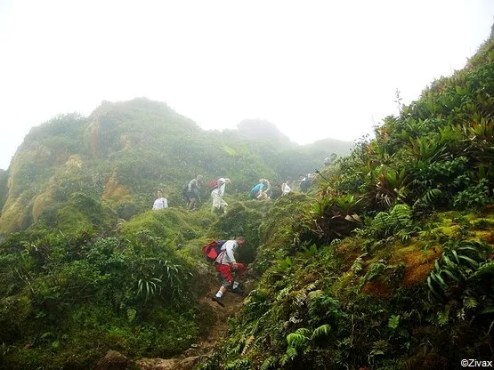 parc national guadeloupe