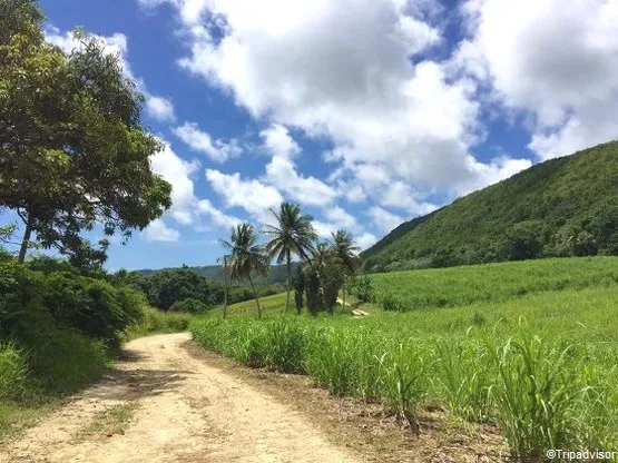 randonnée à Marie-Galante