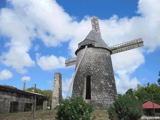 Distillerie Marie-Galante