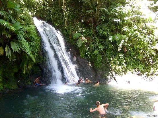 cascade ecrevisse guadeloupe