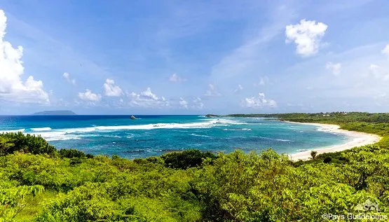 pointe cabrits guadeloupe