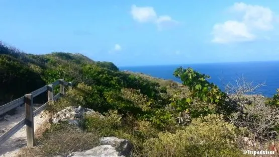 guadeloupe pointe de la grande vigie