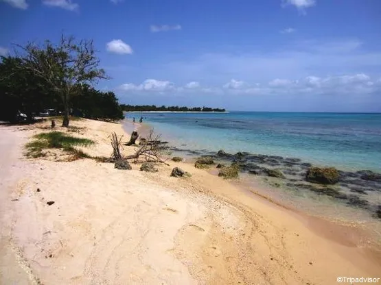 plage souffleur