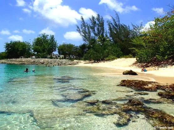 plage du souffleur guadeloupe