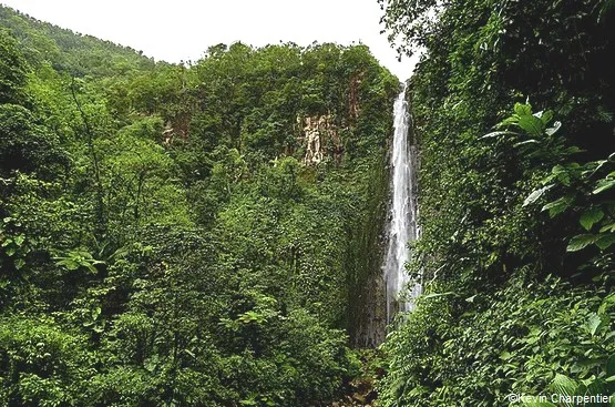 chutes du carbet