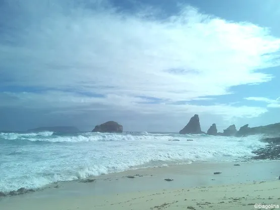 pointe des châteaux Guadeloupe