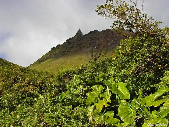 la soufriere guadeloupe