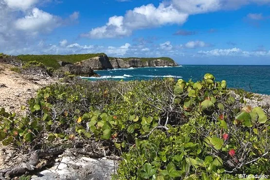 falaises marie galante