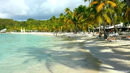 plage club med guadeloupe