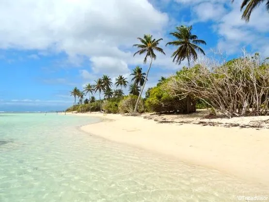 plage de bois jolan guadeloupe