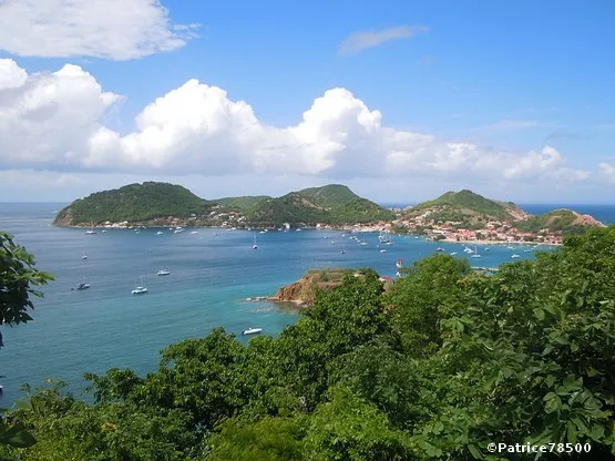 le chameau aux saintes