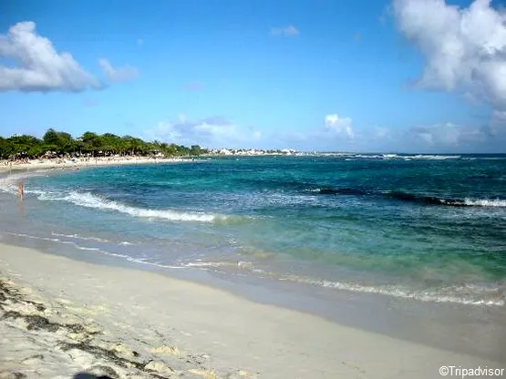 plage des raisins clairs