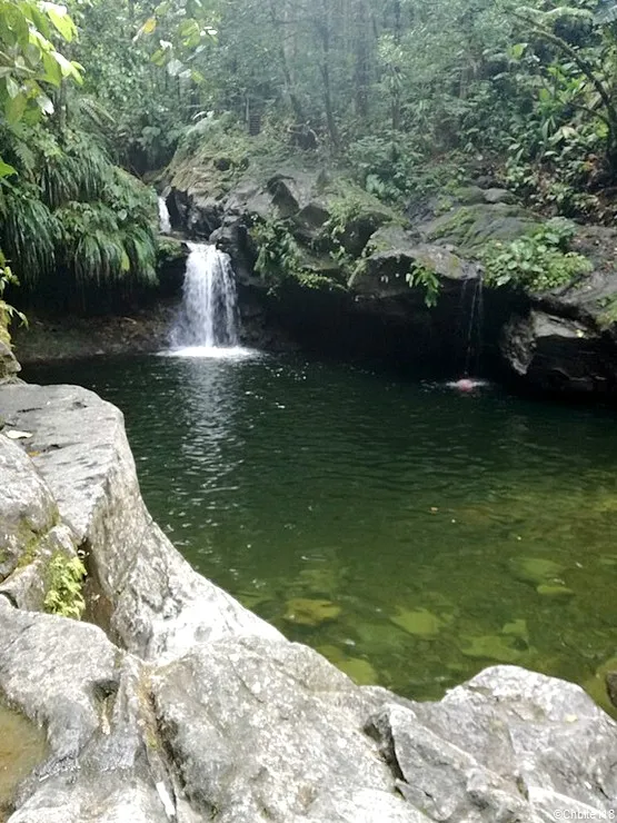 bassin paradis Guadeloupe