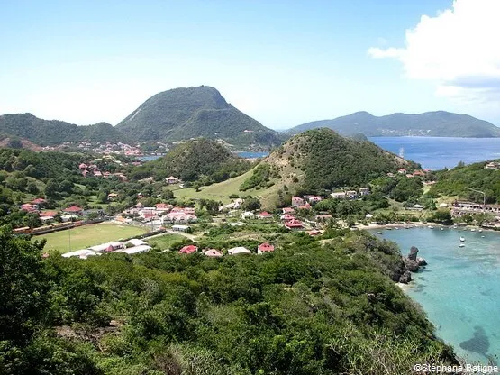 chameau aux Saintes