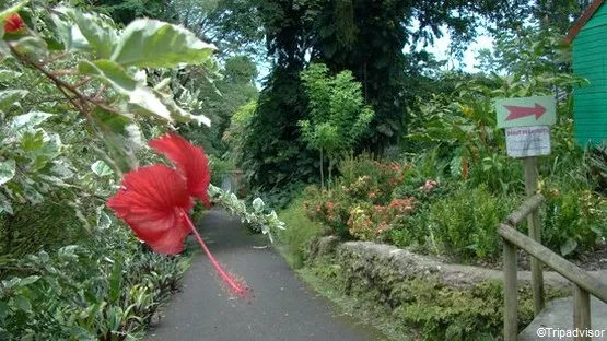 jardin valombreuse guadeloupe