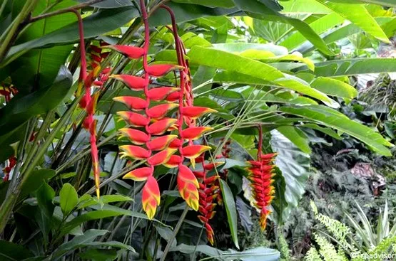 jardin de valombreuse