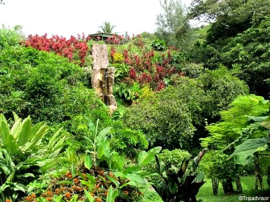 les jardins de valombreuse