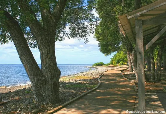 plage simaho Vieux-Habitants