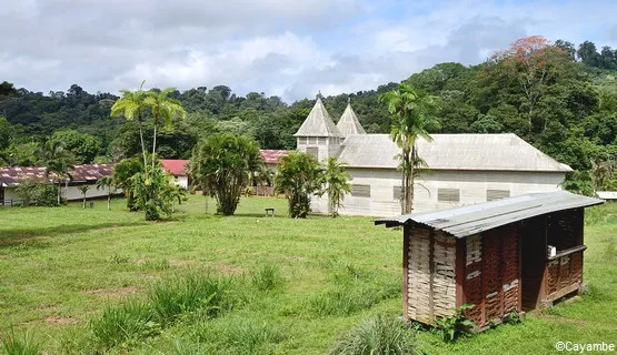 guyane saul